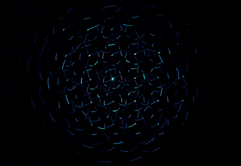 Border Crossing Guide